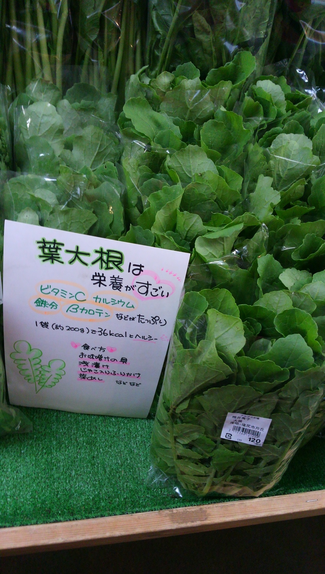 タイトルなし