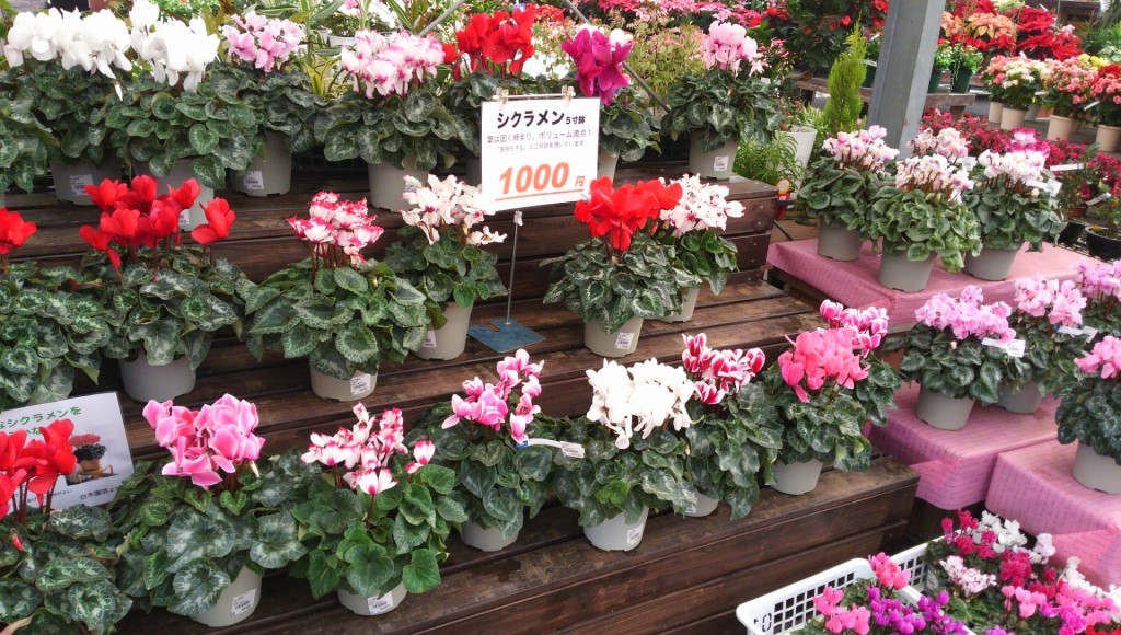 タイトルなし