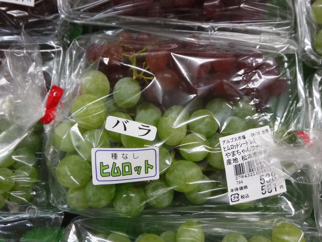 色んなブドウが食べごろです。